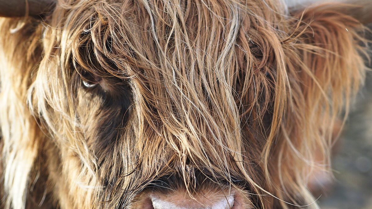 Website that you should check out