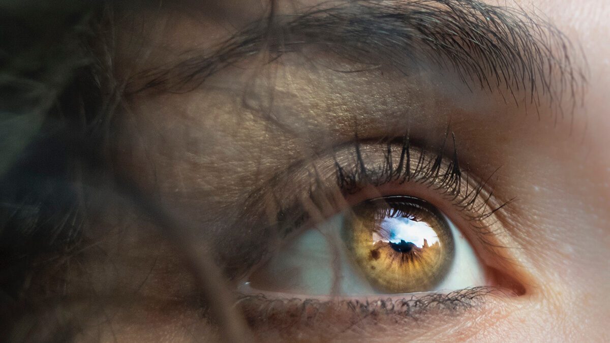 Quote of the day #31