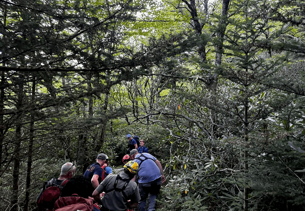 God’s Unfailing Promise: I Will Carry You and Save You